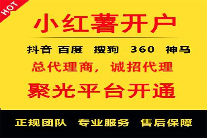 竞价推广策略解析：实战案例分析